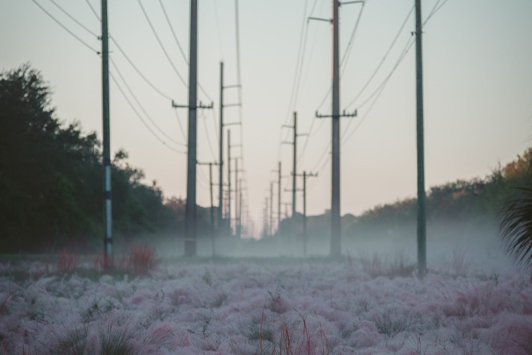 Without Planning, Climate Change Will Bring More Texas-Style Blackouts